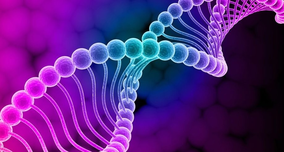 dieta-del-dna-per-dimagrire-in-modo-efficace-e-contrasta-anche-colesterolo-e-diabete