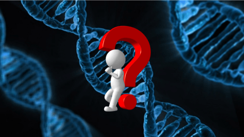 test-DNA-1030x580.png