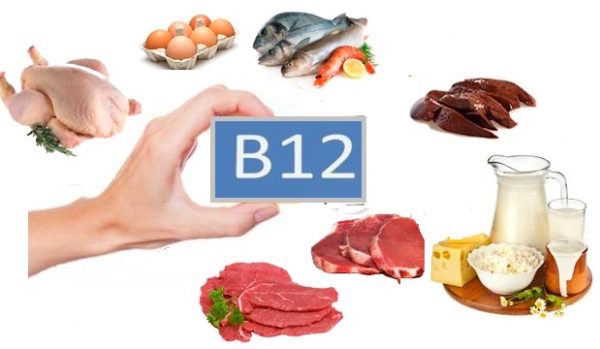 Alimentos-ricos-en-B12
