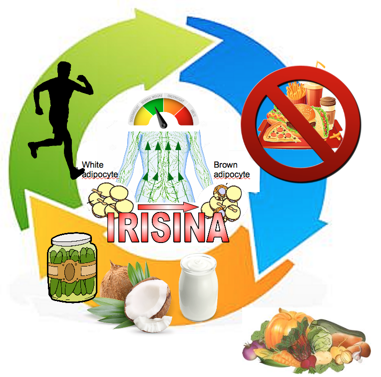 Schermata 2019-09-12 alle 12.41.10.png