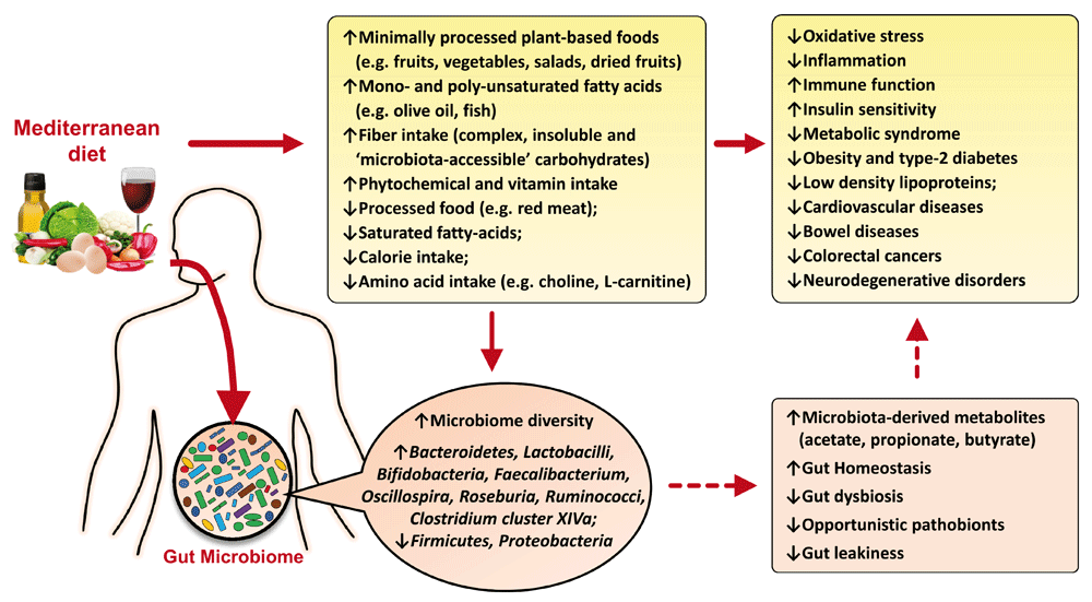 Cibo e microbiota