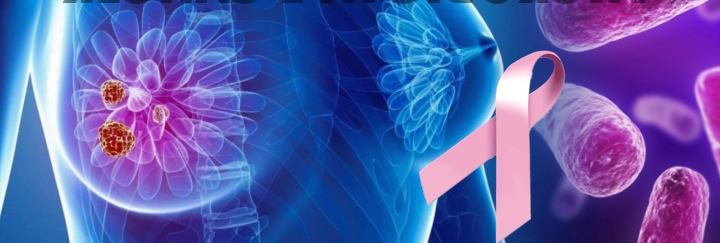 Alimentazione e microbiota nella prevenzione del tumore al seno