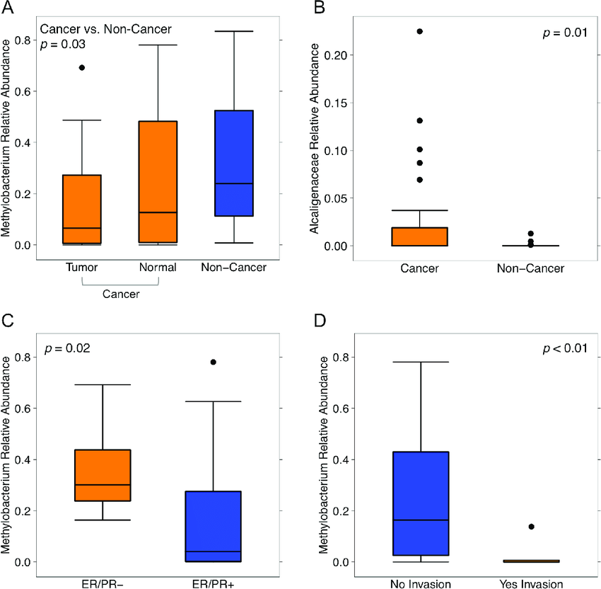 Abbondanza-del-Methylobacterium-nella-donna-con-tumore-al-seno