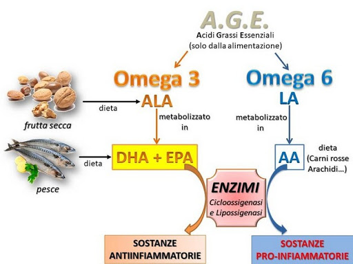 omega 3 e omega 6