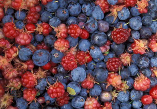 Figura 9 - Frutti rossi (polifenoli-vitamina C)