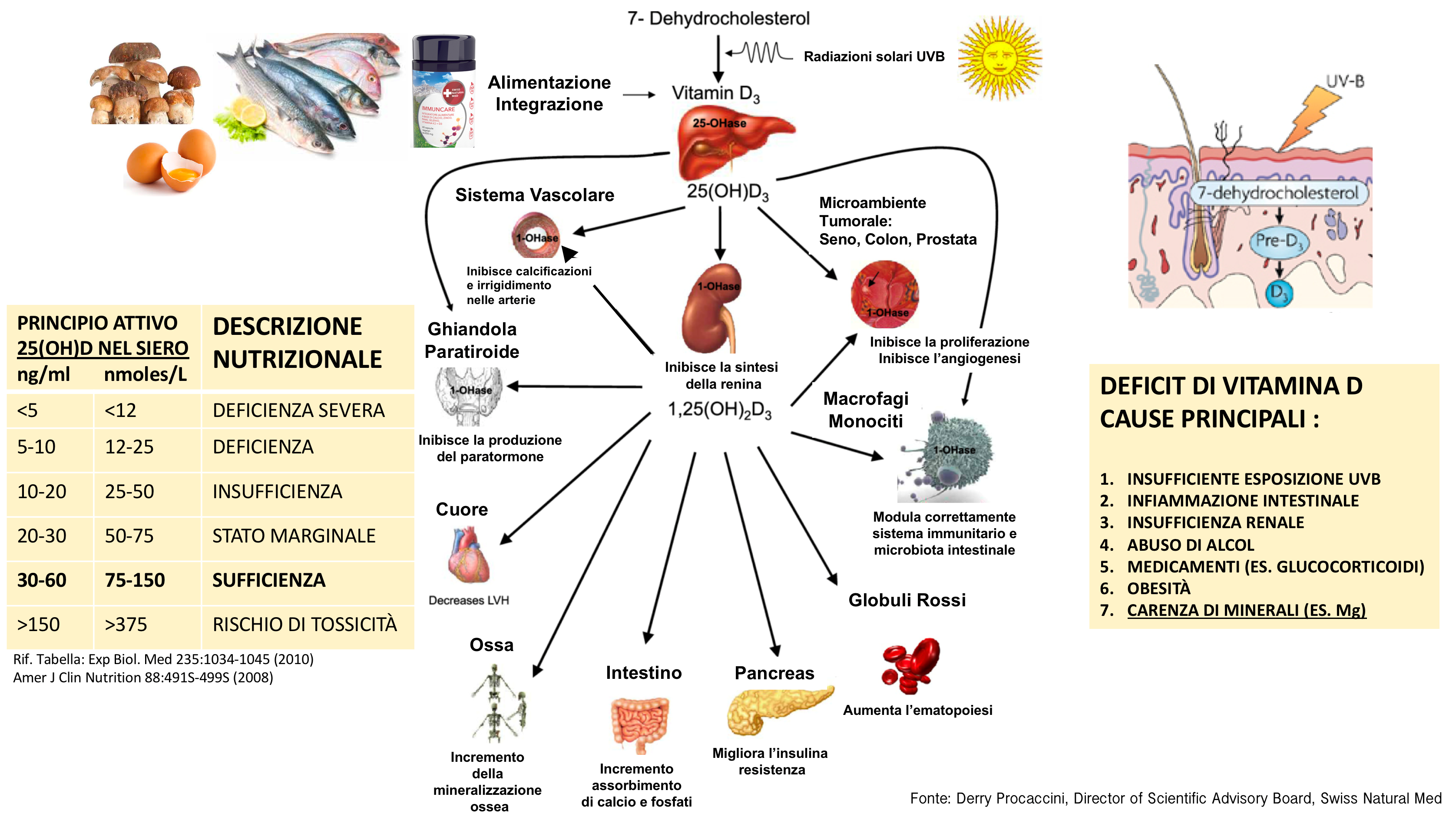 Figura 19 - Vitamina D alimenti - Esposizione al sole - Deficit Nutrizionale