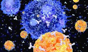 Figura 2 - Attacco degli anticorpi ai virus